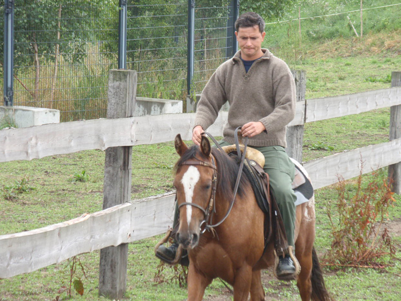 Reiten